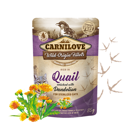 Carnilove Rich in Quail enriched with Dandelion 85g