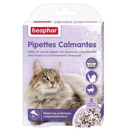 Pipettes calmantes pour chat