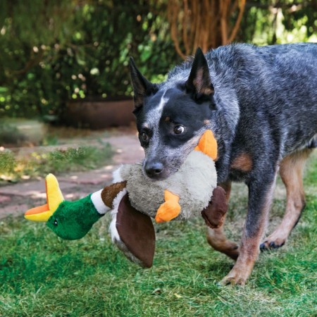 KONG Shakers™ Honkers Duck