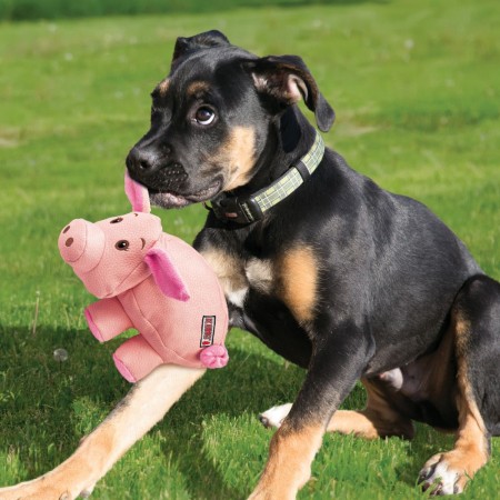KONG Phatz™ Pig