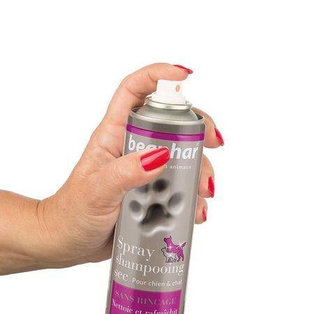 Spray shampooing sec sans rinçage pour chien et chat 250ml