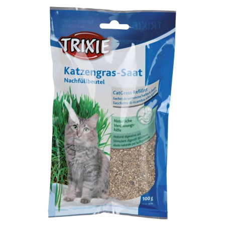 Sachet de semences herbe à chats 100g