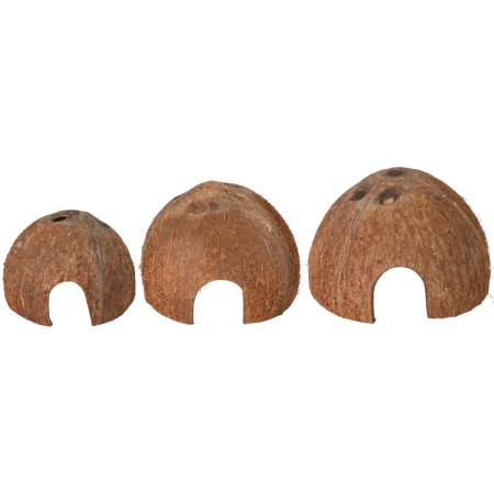 Set de 3 noix de coco demi-coque, ø 8/10/12 cm
