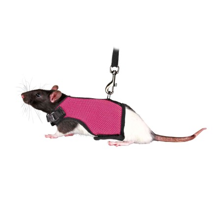 Harnais doux avec laisse, rats, 12-18 cm, 1,20 m