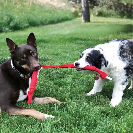 KONG Signature Crunch Rope Double M