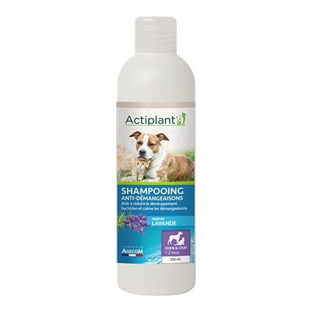 Actiplant' - Shampooing anti démangeaisons parfum lavande 250 ml