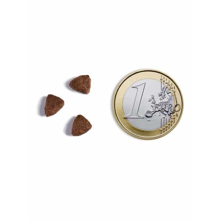Ambrosia Chats & Chatons Stérilisés - Dinde Fraîche & Hareng