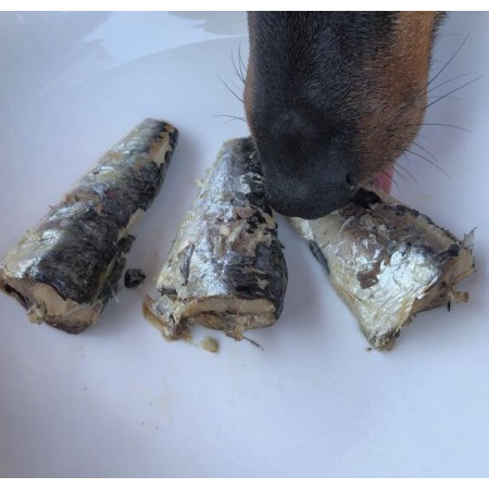 Sardines Naturelles Canumi 100g - Santé et Vitalité pour Votre Animal de Compagnie
