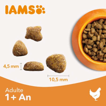 IAMS Advanced Nutrition Croquettes pour Chat Adulte au Saumon 1.5kg - Nutrition Complète et Équilibrée