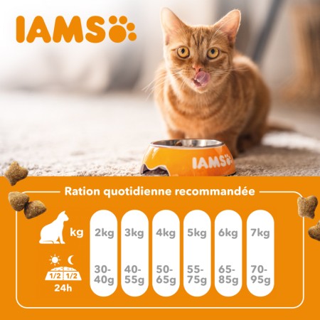 IAMS Advanced Nutrition Croquettes pour Chat Adulte au Saumon 1.5kg - Nutrition Complète et Équilibrée