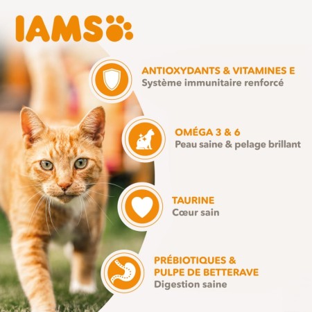 IAMS Advanced Nutrition Croquettes aux Poissons de l'Océan pour Chat Adulte 10 kg - Aliment Complet et Équilibré
