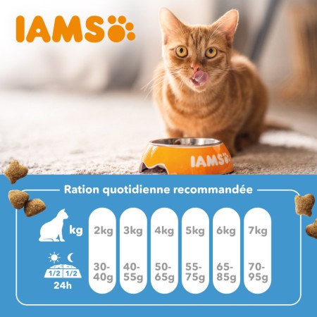 IAMS Advanced Nutrition Croquettes aux Poissons de l'Océan pour Chat Adulte 10 kg - Aliment Complet et Équilibré