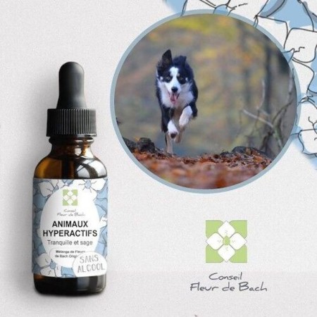 Fleurs de Bach Animaux Hyperactifs Sans Alcool - Apaisement Naturel pour Chiens et Chats 30 ml